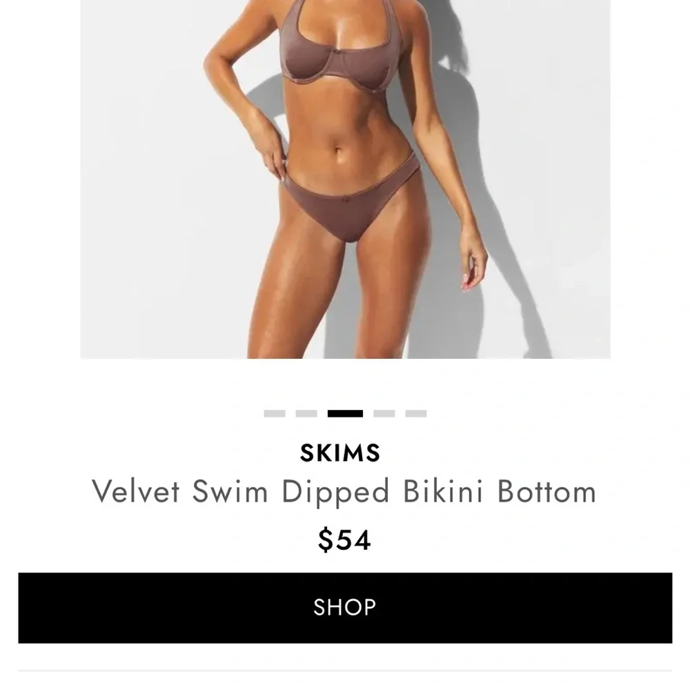SKIMS Velvet Brown Bikini Bottom
